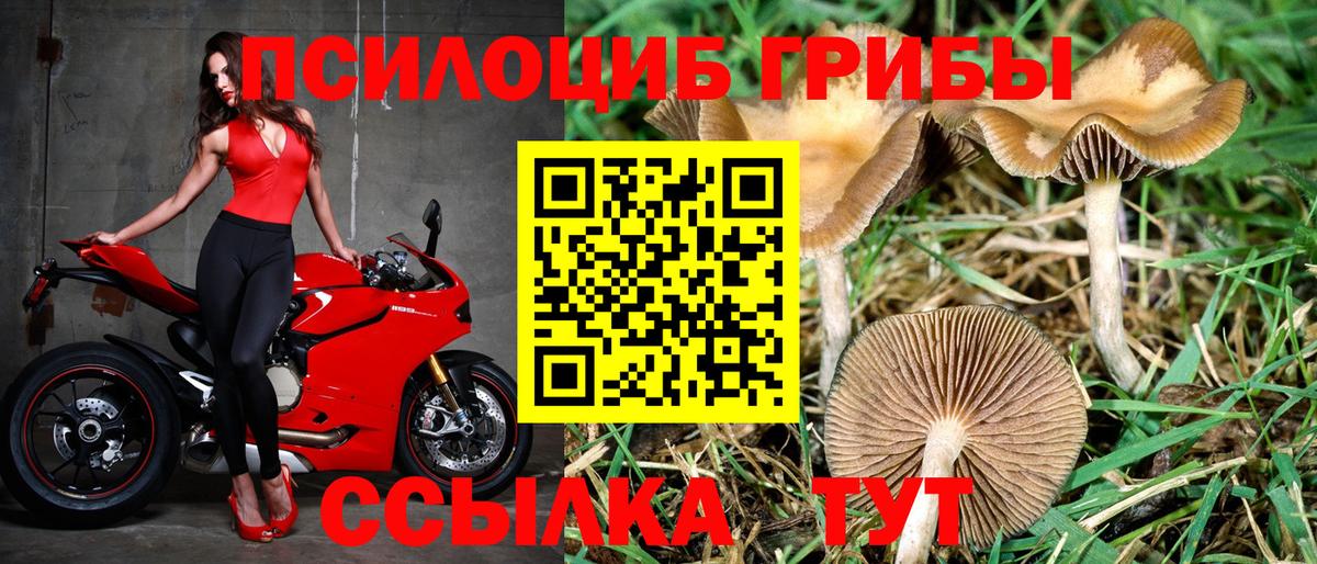 Псилоцибиновые грибы Psilocybine cubensis  наркотики  Трёхгорный  Псилоцибиновые грибы Magic Shrooms  Вход с VPN 